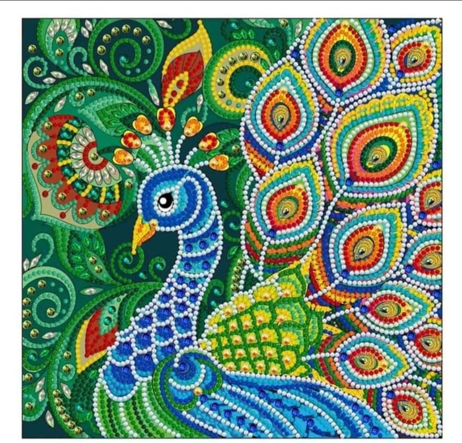 DIY Diamond Dotz Glow in the Dark Peacock Canvas | Etsy