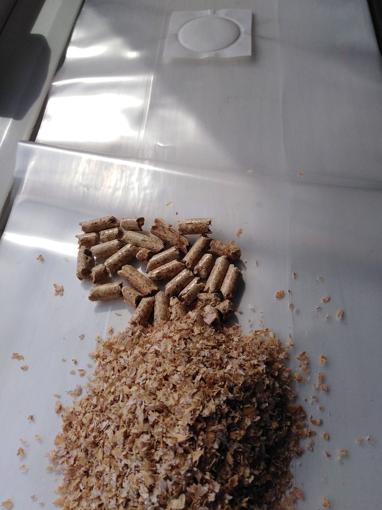 OAK Sawdust 500g Bran 125g Large Bag DIY KIT for Etsy