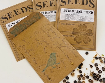 Jet Black Hollyhock Heirloom Seeds, Cottage Garden