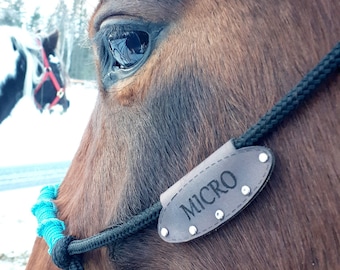 Étiquette de nom de cheval en cuir gravé pour licols en corde