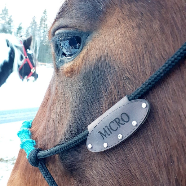 Etiqueta de nombre de caballo de cuero grabado para cabestros de cuerda