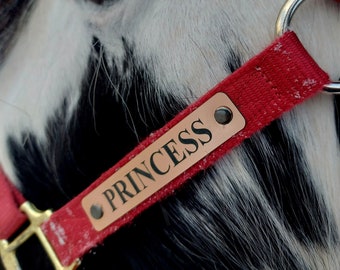 Custom Engraved Horse Halter Plate with Rivets or Chicago Screws (Bold Lamacoid Plastic)