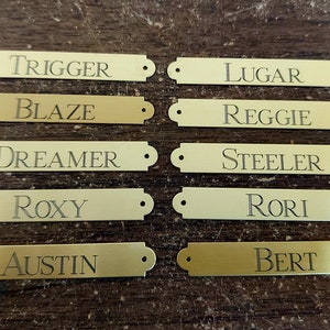 Brass Saddle Plate with Escutcheon Pins