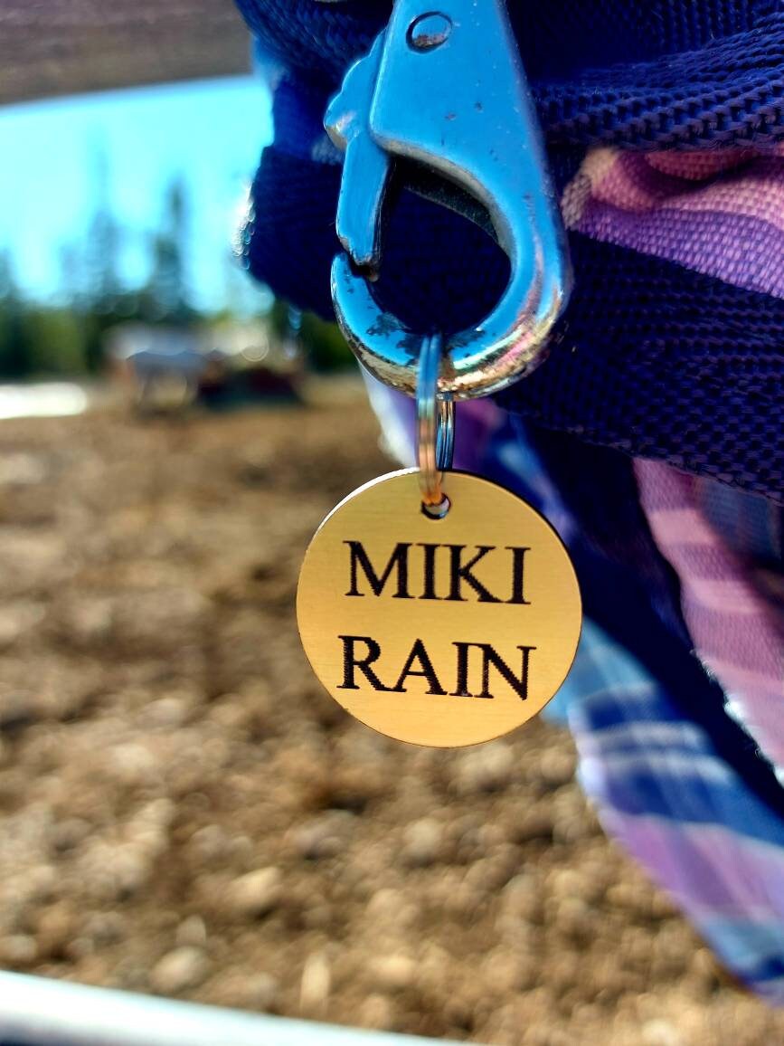 ETICHETTA PER BRIGLIA SPESSA - Piccola 3/4" Incisa Personalizzata In Ottone Massiccio O Alpacca - Italia - Foto 4