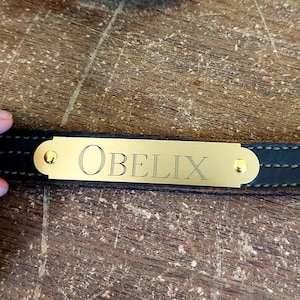 Engraved Brass Halter Plate with Rivets