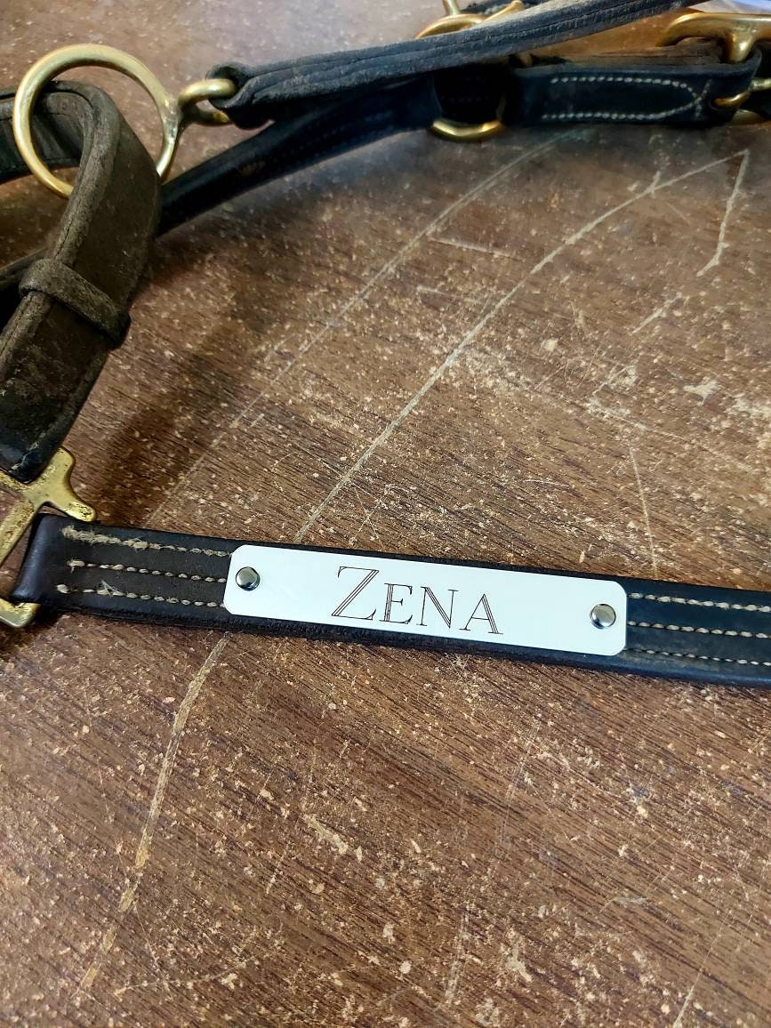 Engraved Aluminum Horse Halter Plate With Rivets or Chicago Etsy Canada