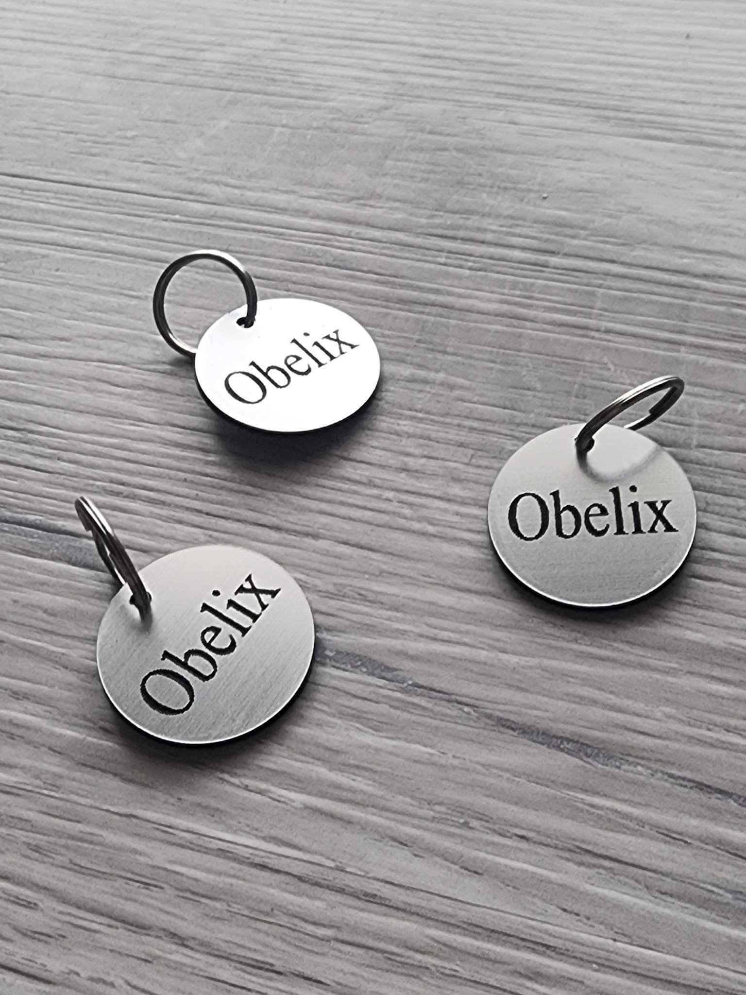 Horse Blanket/ Halter/bridle ID Tags - Bold Lamacoid Metallic Plastic ...