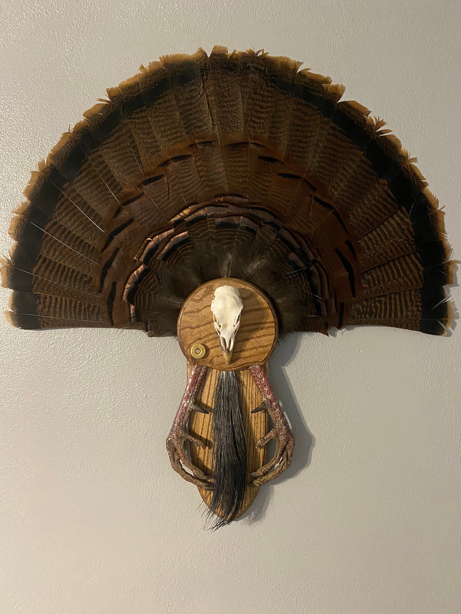 Turkey fan mount Etsy