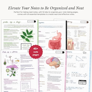 Samsung Notes & GoodNotes Digital Notebook BUNDLE, 8 Hyperlinked Notebooks, 65+ Student and Life Planner Templates, 2000+ Stickers image 7