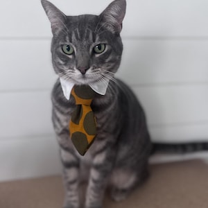 cat in prom dress Miette is adding the final magical touch to my ball gown: a sprinkle of cat fur! This weekend is @thecatcade's CAT PROM, which is a fun excuse to get together with