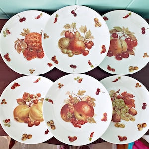 Vintage German China Set - 6 Luncheon/Salad/Dessert Plates with Fruit & Berries Design, Debra Pattern, BAVARIA