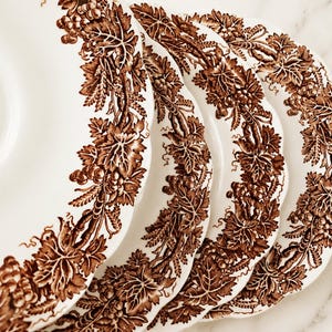 May include: A set of four white ceramic plates with scalloped edges, each featuring a detailed brown transferware pattern of grapevines, leaves, and clusters of grapes encircling the rim in a continuous, intricate botanical design.