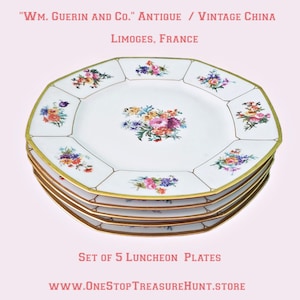 Conjunto de 5 pratos de porcelana antigos de LIMOGES - William Guerin Co. Pratos Lucheon - Porcelana francesa colecionável - Ideia para presente