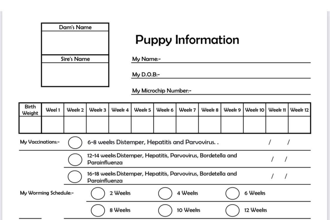 Puppy Information for new Owners Etsy
