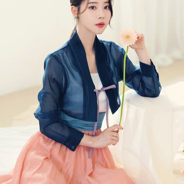 Korean Modern Hanbok Elegant Sheer Blouse For Women | Korea Traditional Style Top Jeogori Dress Set (CLHT0013)