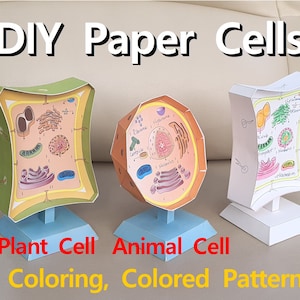 DIY 3D Paper Cells Models, 3D Paper animal cell, paper plant cell, Coloring cells, Fill in the blank, Printable instant, origami, Science