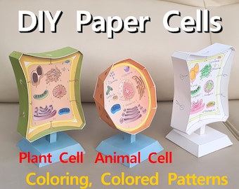 animal cells and plant cells projects