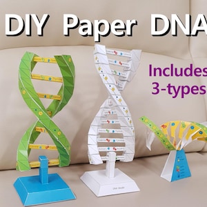 Modelos de DNA de papel 3D faça você mesmo, Double Hexlix, Adenina, Guanina, Citosina, Timina, Colorir DNA, Imprimível instantâneo, origami, Atividade científica