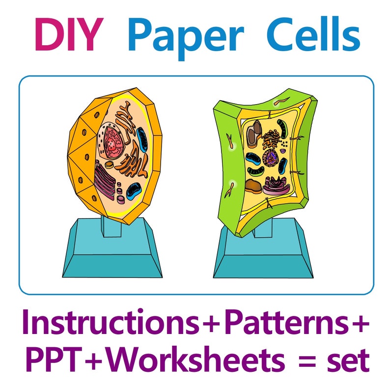 DIY 3D Paper Cells Models, 3D Paper Animal Cell, Paper Plant Cell