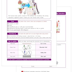 DIY Paper Human Body System Model, Biologie Wissenschaft Aktivität, Anatomie, Papercraft, Printable Instant, Origami Bild 4