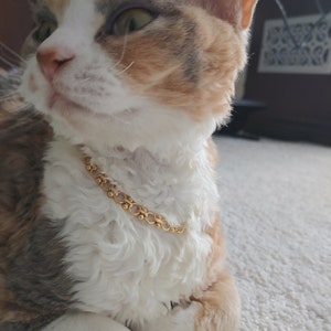 18K Gold Plated Pet Chain Collar: Cat Jewelry, Dog Necklace
