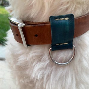 Leather Dog Collar, Minimalist  Collar, Durable Leather Collar, Unique Dog Collar, Stylish Collar, Everyday Dog Collar, Comfortable Collar