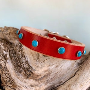 Enfärgat rött och turkost läderhalsband för hundar. Snyggt halsband.