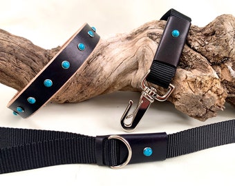 Black leather dog collar and leash set. Matching leather collar with turquoise stones and nylon and leather leash.