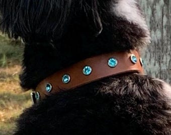 Leather dog collar with rhinestones: comfortable collar for everyday wear