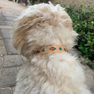 Pretty turquoise stone leather dog collar, tribal dog collar, collar with studs, natural leather collar image 8