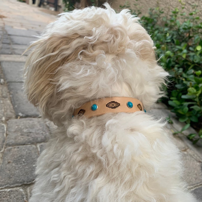 Pretty turquoise stone leather dog collar, tribal dog collar, collar with studs, natural leather collar image 8