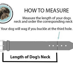 Sizing instructions. Measure the length of your dogs neck and select the corresponding neck size for purchase.