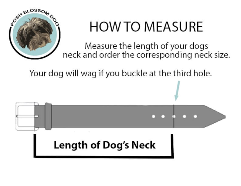 Sizing instructions. Measure the length of your dogs neck and select the corresponding neck size for purchase.