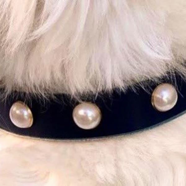 Pearl Dog Collar Etsy
