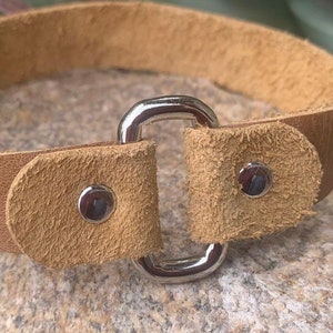 Leather slip on collar, house dog collar, ID collar, silent collar