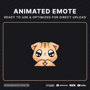 Animated Orange Cat | UwU Emote | Twitch, Discord, Kick, YouTube, and Facebook | Ready-Made Stream Graphics for Streamers of All Levels