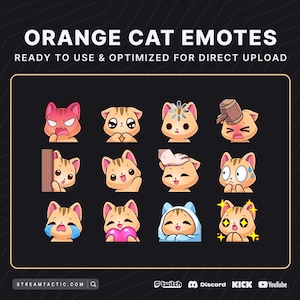 Orange Cat Emotes | Twitch Emotes | Instant Download | Ready-Made Graphics for Streamers of All Levels