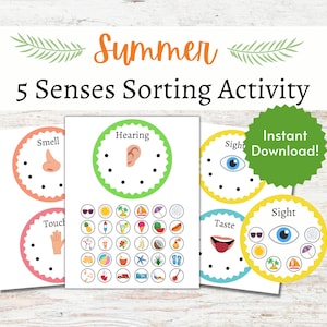 May include: A printable summer-themed 5 senses sorting activity for children. The activity includes five colourful circles with images of a nose, ear, eye, hand, and mouth. There are also 36 colourful circles with images of summer-themed objects, such as sunglasses, ice cream, and a beach ball.