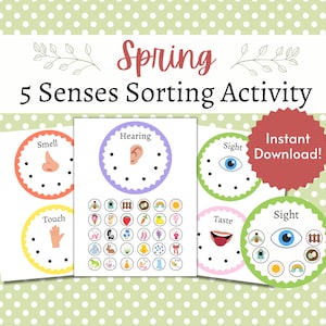 Pode incluir: Uma atividade de classificação dos cinco sentidos com tema primaveril para crianças para imprimir. A impressão inclui cinco cartões com imagens de um nariz, uma orelha, um olho, uma mão e uma boca, representando os cinco sentidos. Há também vários cartões com imagens de objetos com tema primaveril, como flores, pássaros e borboletas, que as crianças podem classificar por sentido.