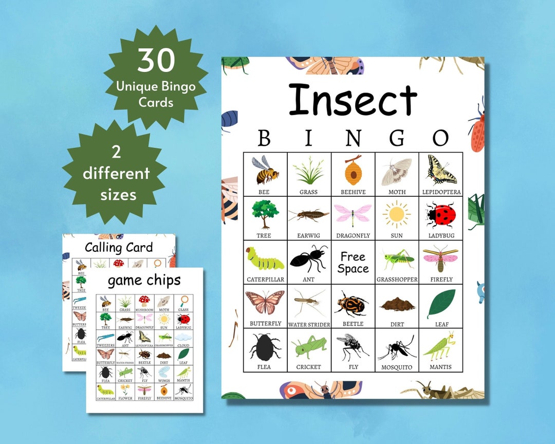 Insect Bingo, Bug Bingo Cards, Insect Games for Kids, Bug Party Game