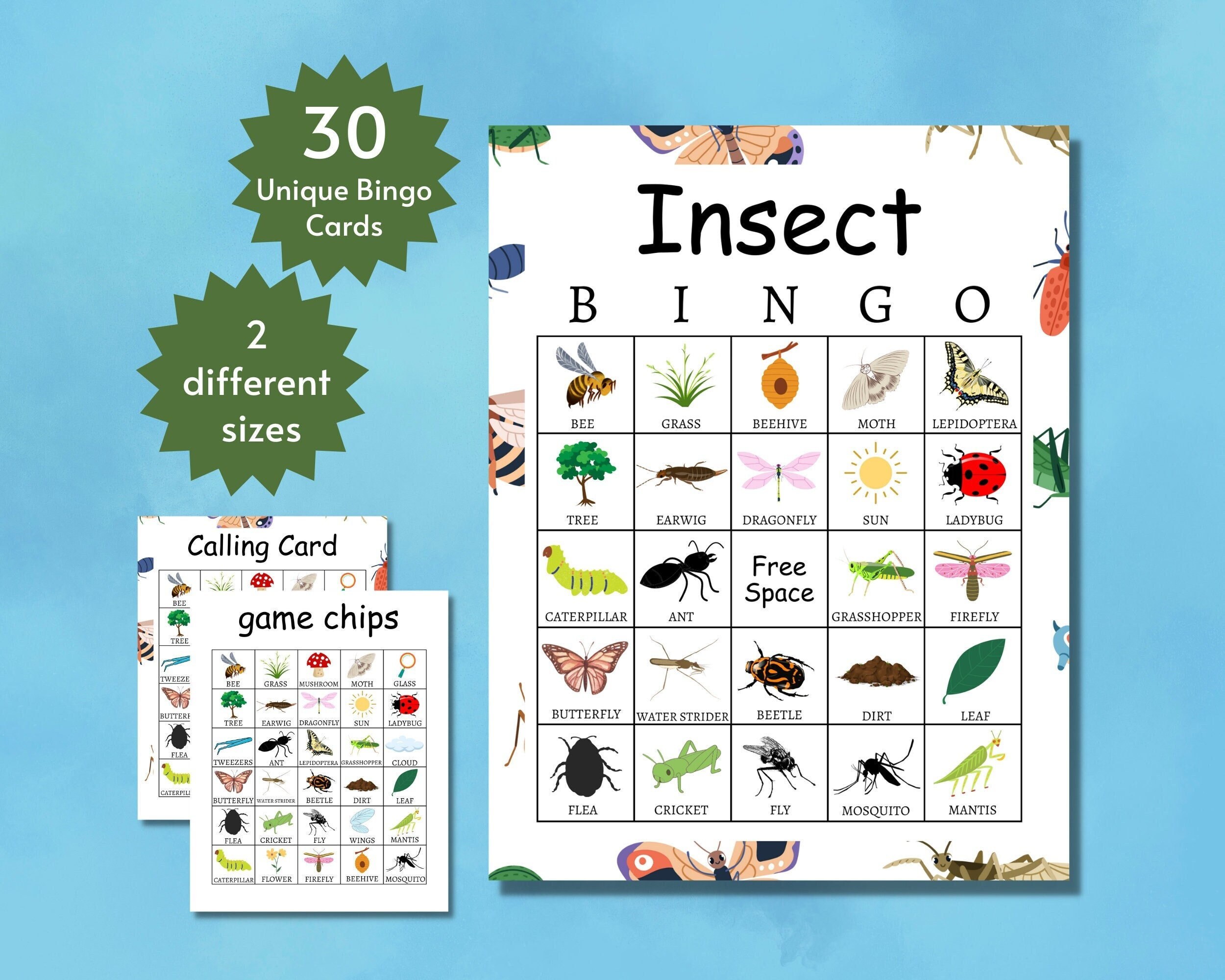Insect Bingo Bug Bingo Cards Insect Games for Kids Bug - Etsy