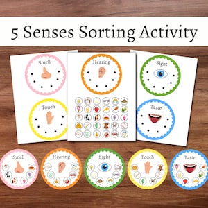 Five Senses Sorting Activity, 5 Senses Learning Game for Kids, Printable Classroom Resource