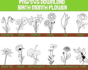 Download Snowdrop Iris Daffodil Sweet Pea Lily Rose Water Lily Poppy Morning Glory Holly Botanical Floral Clip Art Birth Month Flower Png Clipart Clip Art Art Collectibles Netbeopen Com