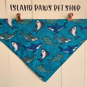 Shark Friends XS-XL