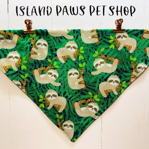 Sloth Friends