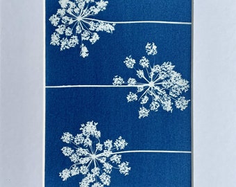 Mounted Original Cyanotype Print