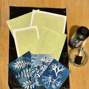 May include: Three cyanotype prints of botanical specimens, including a fern, a flower, and a seaweed, are displayed on a black background.  The prints are surrounded by four sheets of light green paper, and a bottle of dark blue liquid and a glass jar with a brush are also visible.