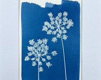 Mounted Original Cyanotype Print