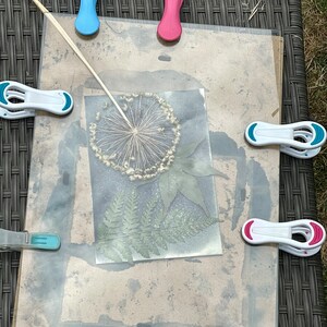 May include: A pressed flower arrangement featuring a dried flower, fern, and leaf, secured with colourful clothes pegs on a brown background.
