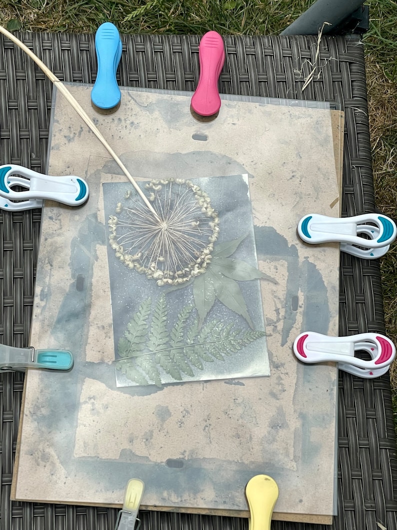 May include: A pressed flower arrangement featuring a dried flower, fern, and leaf, secured with colourful clothes pegs on a brown background.